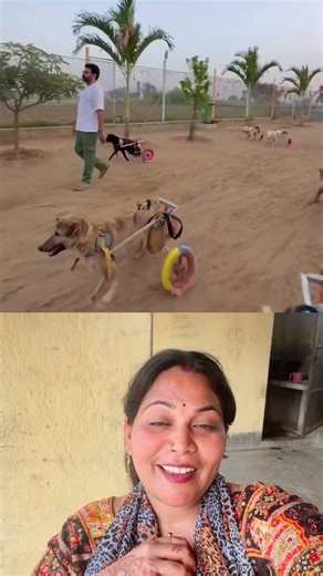Dogs love 😎♥️Sigma rule |inspirational quotes | motivational quotes #shorts #motivational