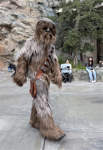 when your routine becomes your ritual, everything changes | new moon