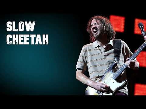 John Frusciante - Slow Cheetah
