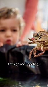 1.9K views · 15 reactions | What curious creatures will YOU discover...