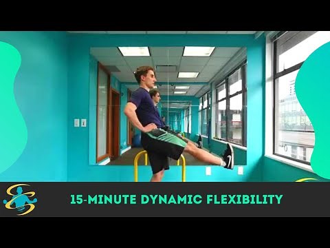 Follow Along 15-Minute Dynamic Stretching Flexibility Routine (Energizing & Fun!)