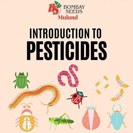 A brief introduction to Pesticides.