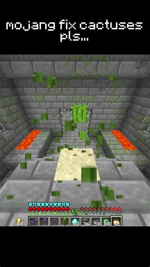 MOJANG FIX CACTUSES PLS... #minecraft