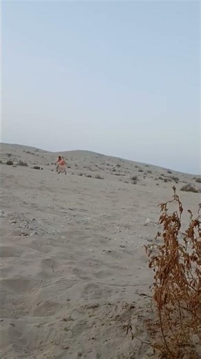 FALCOM TRAINING FOR RACE🥶☠️❤️#shorts #shortvideo #viralshorts