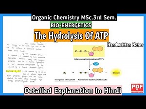 The Hydrolysis Of ATP | Bio-Energetics | Organic Chemistry | MSc.3rd Sem.Notes | #msc #mscnotes