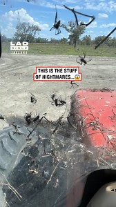 This old tractor has a new tenant 🕷️😅🫣 | LADbible Ireland