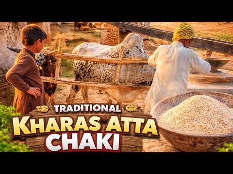 Traditional Kharas Atta Chaki | Old Village Flour Making Process 😲