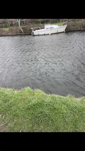 Exploring Canal Boating and Life on the Water