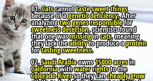 Random #263 - 50 Lesser Known Random Facts - Fact Republic