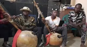 Traditional Nigerian Stringed Instrument Performance
