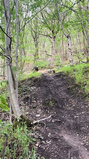Santa Cruz Bronson MTB Ride: Fox Gear & UK MTB Clothing