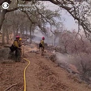 8K views · 105 reactions | More than 1,700 firefighters are continuing their battle against the KNP Complex Fire on Saturday in California's Sequoia National Park. The fire, which was started by lightning on September 10, has reached more than 40,000 acres. | CBS News | Facebook