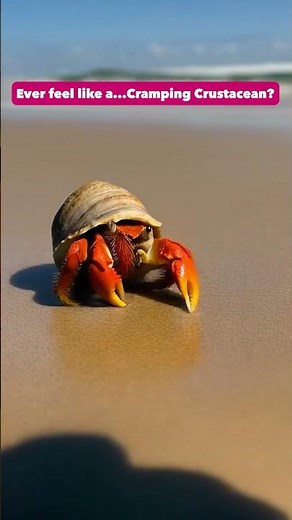 Leave your shell with Midol® Complete