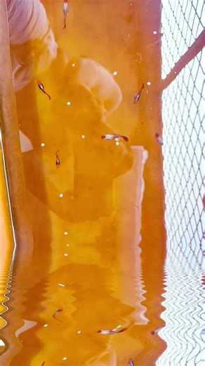 HELLO HELP ME I AM UNDER WATER HERE TO MUCH RAINING