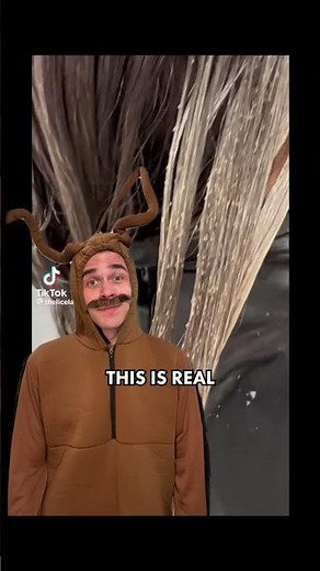 Lice Infestation Fake Or Real Part 2