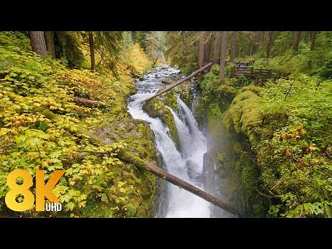 Timeless Charm of Sol Duc Falls in 8K, Olympic National Park, WA - 3 HRS of Splendid Waterfall Views