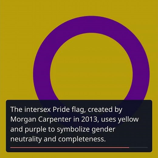 The Colorful Journey of LGBTQ+ Pride Flags
