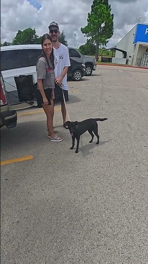 Gotta teach the puppy to settle before interacting!