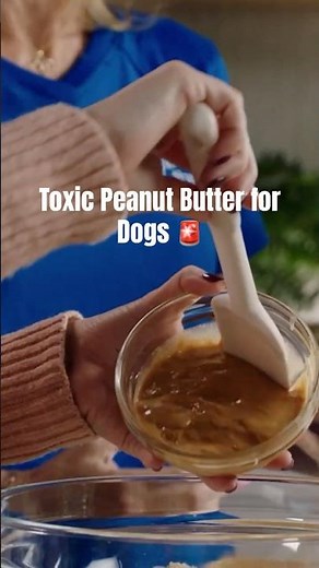 Check Your Peanut Butter Before Giving It to Your Dog