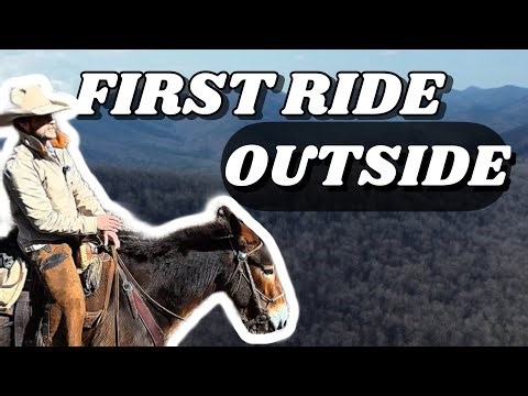 First TRAIL ride on a GREEN BROKE MULE | HOW DID IT GO?
