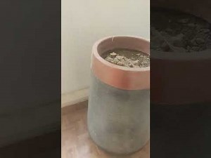 Type 4 quarters of government flats sarojini nagar