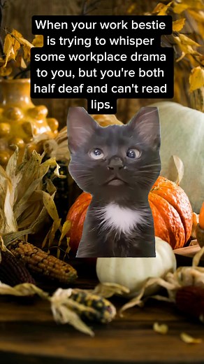 #comedy #meme #funny | Matthew Valentine