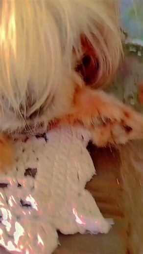 6 de fevereiro de 2026