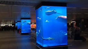 LED seamless columns