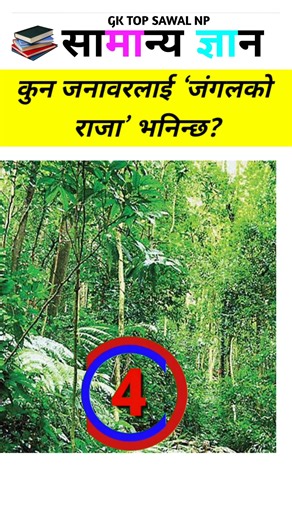 Top 20 GK Question 🤔💥 || GK Question ✍️ || GK Question and Answer || #gk #bkgkstudy #Gkinnepali