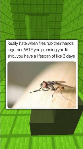 Good Memes