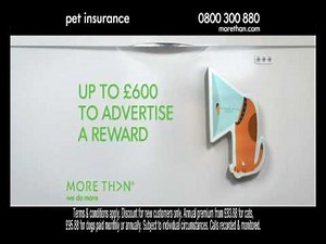 MORE THAN INSURANCE PET INSURANCE