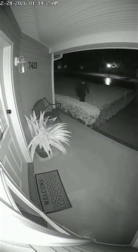 Ring Camera Caught This at 1AM… #motion #night #scary