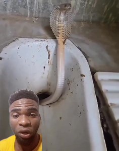 1.9M views · 5.2K reactions | BWC Backwater solution | Engr ELOO TV | Facebook