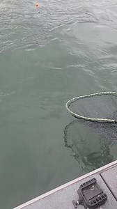 Textbook net job from a client. I'll provide "net training" for those of you that need it. 😆😆😆 | Gone Catchin Outfitters