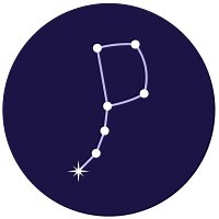 Polaris Genomics | LinkedIn