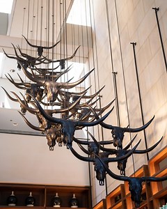 1.2K views · 26 reactions | Toro Toro Fort Worth offers a contemporary take on Pan-Latin cuisine, blending traditional flavors with modern twists. Located in Downtown, this venue is characterized by its chic ambiance and inventive menu. Experience a taste of Latin America in the midst of Fort Worth. | Visit Fort Worth | Facebook