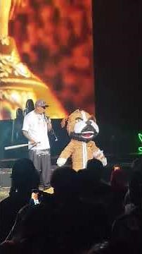 C-Kan hits piñata referencing Babo (Cartel De Santa)