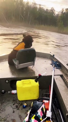 Just Ruger and I running the river! #alaska #jetboat