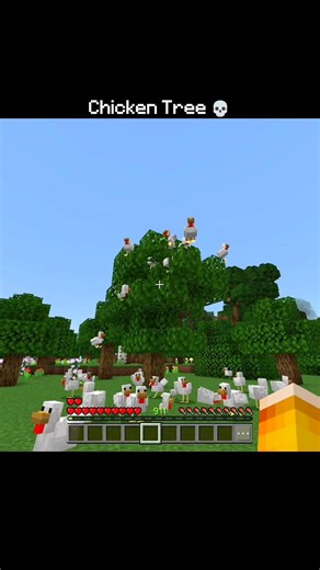 Chicken Tree 💀... #gaming #minecraft #minecraftshorts #minecraftmemes #usa #canada #australia