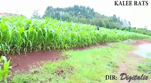 More entertaining scenes from her 😂😂😂😂😂😂😂 Like and support her page Gogo Small comedy | Arap Uria