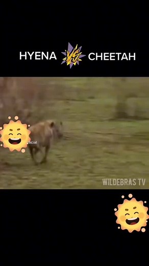 #CapCut ##vooryoupage #fy #fyp #vooryoupage #😅😅