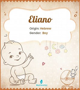 Eliano Name Meaning, Origin, History, And Popularity