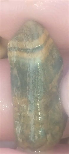 I Found a Banded Agate in an Ancient River