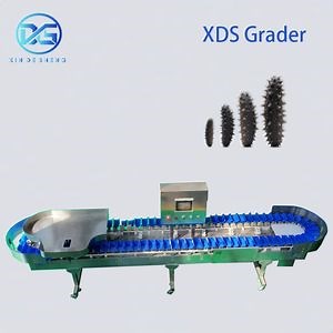 [Hot Item] Automatic Fish Sorting Machine for Frozen Seafood Processing Plant