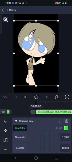 How To Get "Green Screen"