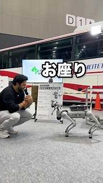 A future pet that will "do whatever you say"?! Amazing four-legged robot