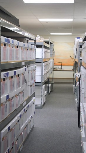 LAIKA Studios on TikTok