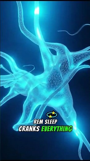 What Happens During REM Sleep?