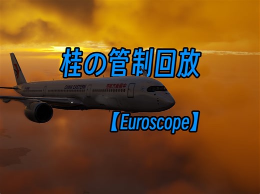 【Euroscope】一口气带你看完上海两场模拟机 回放TimeLape