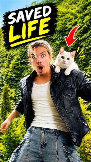 Hero Cat Saves Her Owner Life Like a Legend! 🤷‍♀️🐒 #shorts #cat #viral #trending
